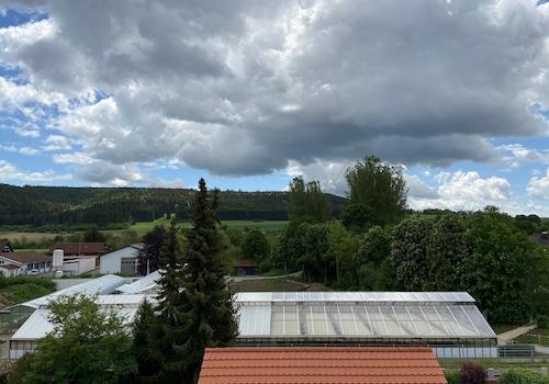 Blick - Süden