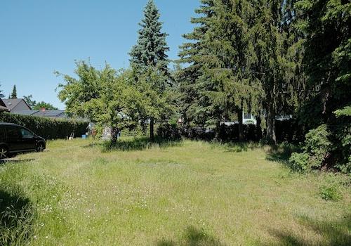 Blick zur Straße + Garten