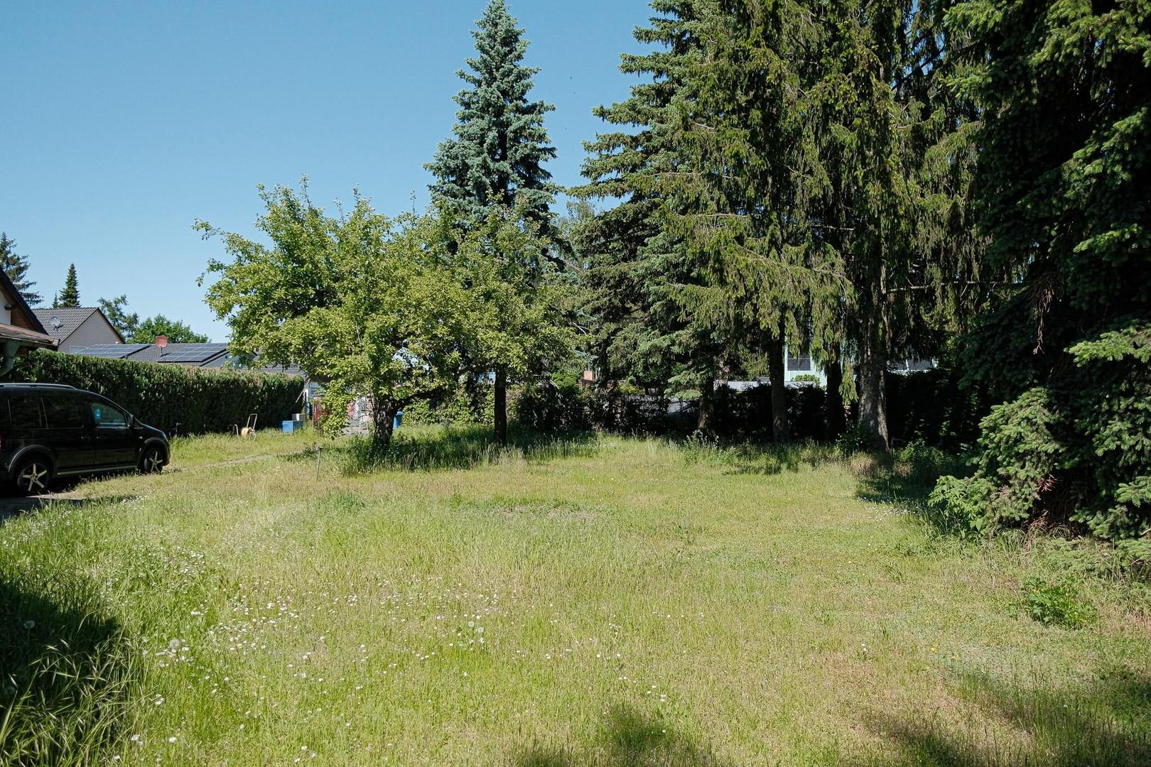 Blick zur Straße + Garten