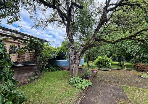 Garten mit historischem Apfelbaum