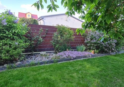 Teil des angelegten Garten