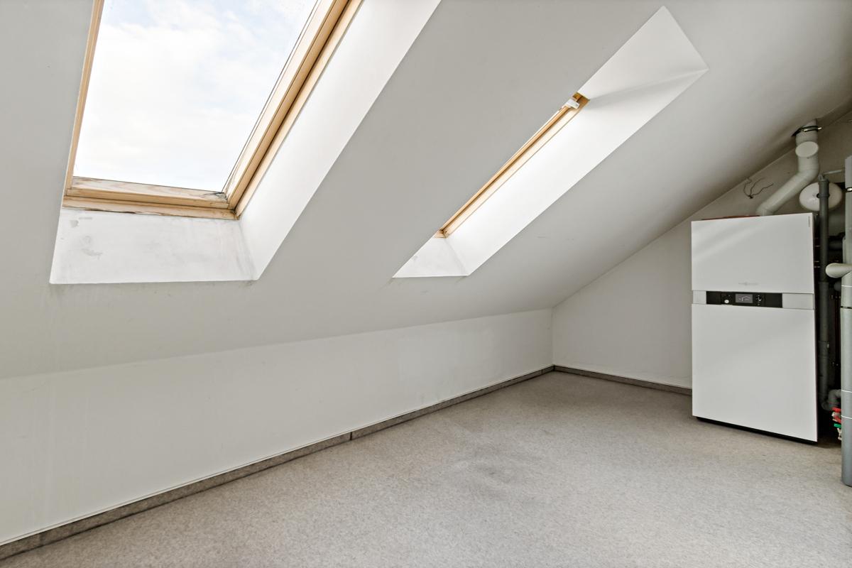 Zimmer DG