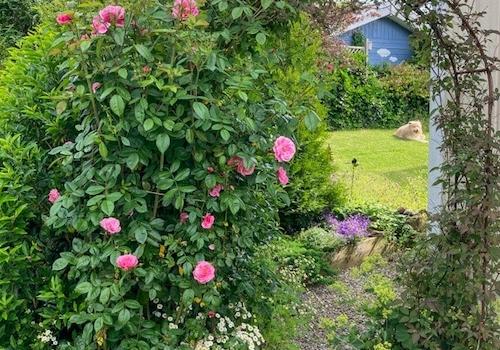 Garten