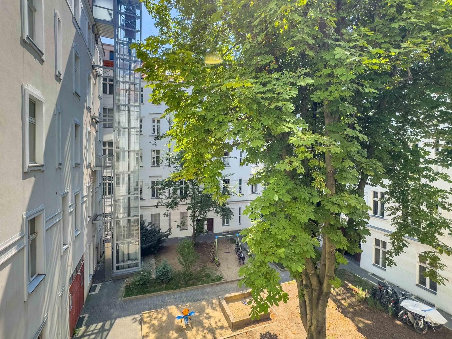 Ausblick 