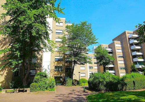 k-IMG_4189
