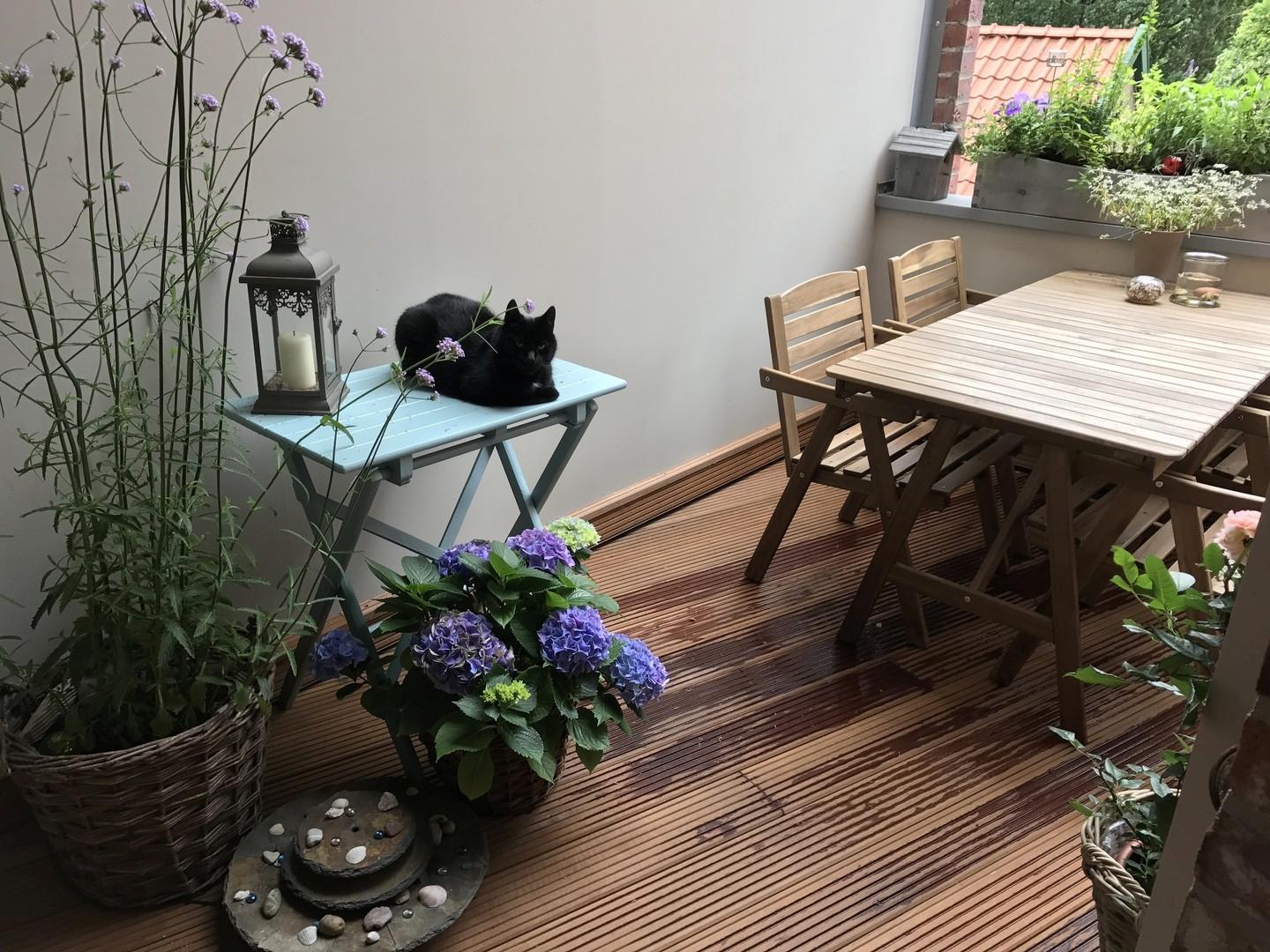 Terrasse