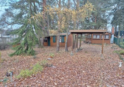 Blick auf das Grundstück mit Carport und Bungalows