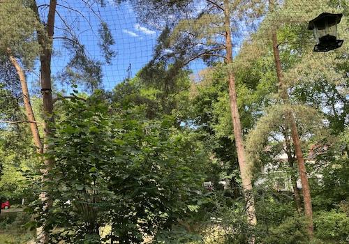 Ausblick
