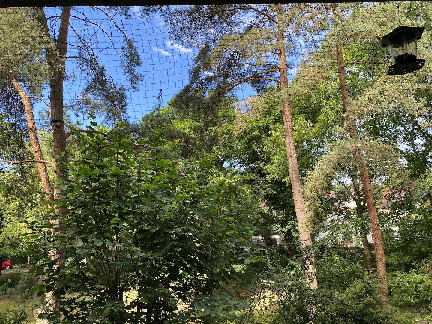 Ausblick