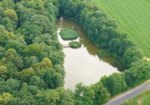 Luftbild See & Wald
