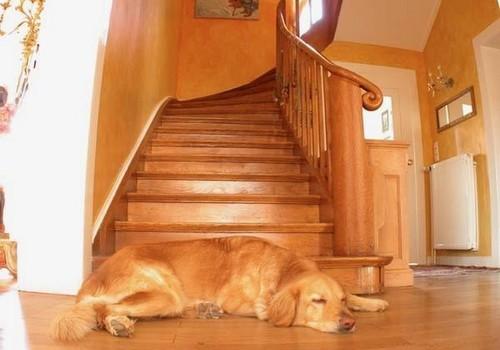 Flur Treppe