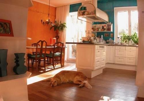 Küche mit Esszimmer