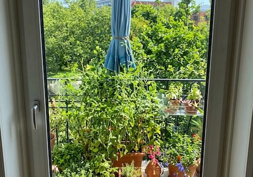 Balkon