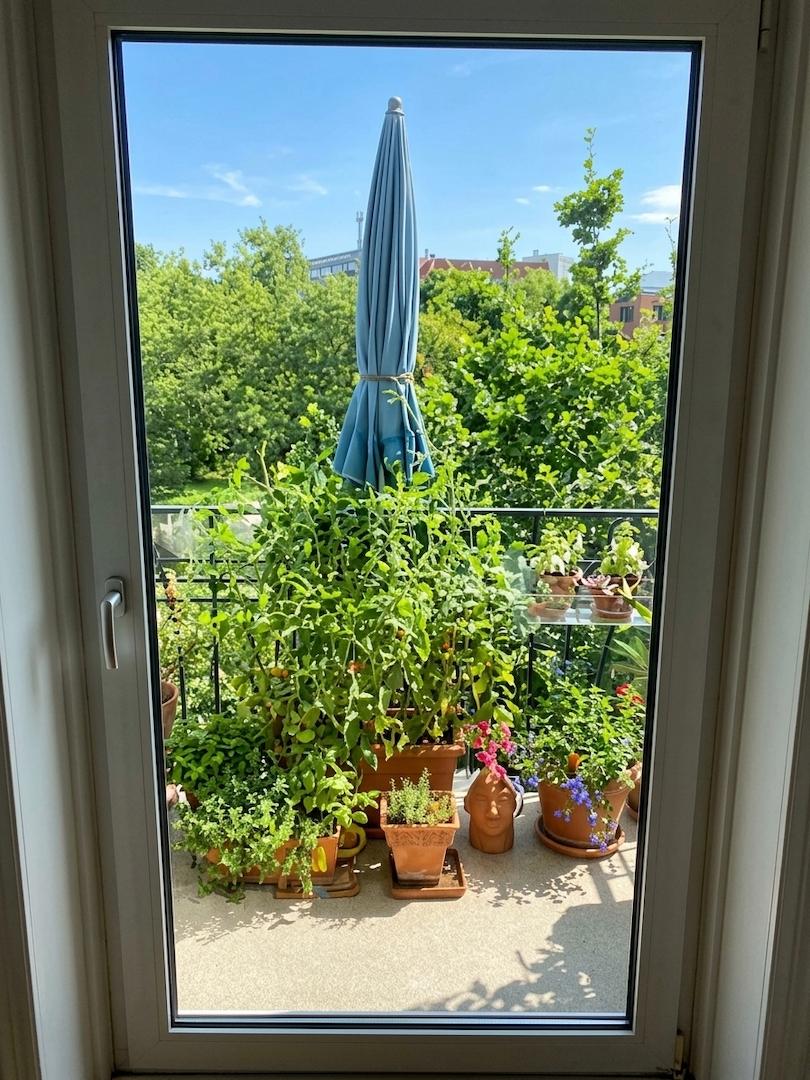 Balkon