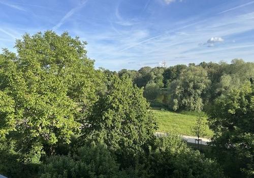 Bild/Grundriss 3