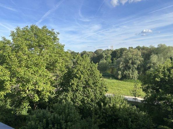 Bild/Grundriss 3