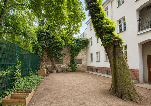 Hinterhof