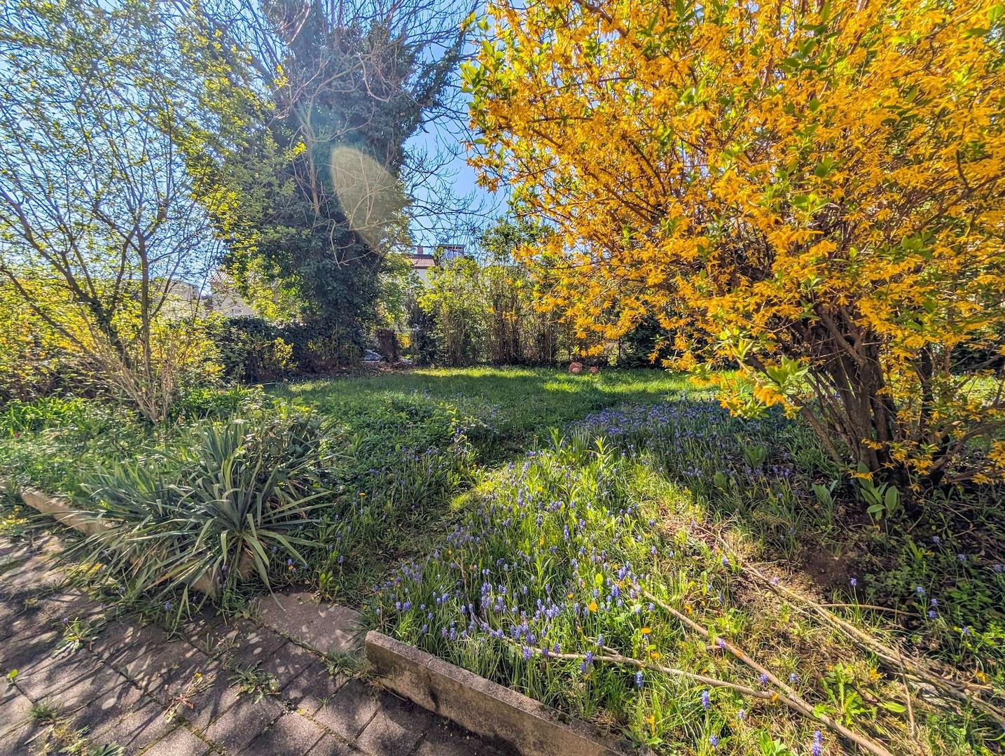 Garten hinter dem Haus