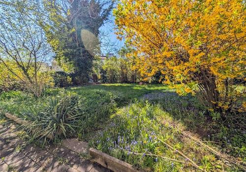 Garten hinter dem Haus