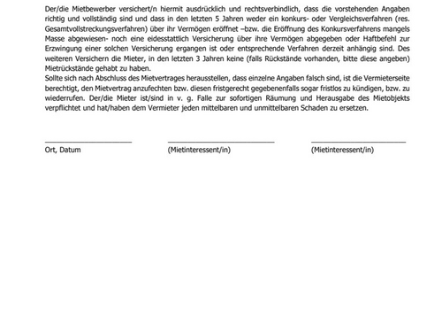 Selbstauskunftsformular 3