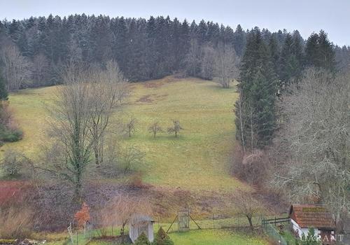 Ausblick vom Balkon