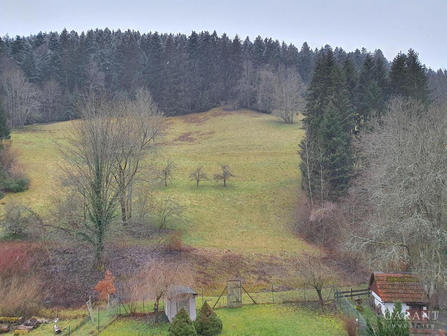 Ausblick vom Balkon