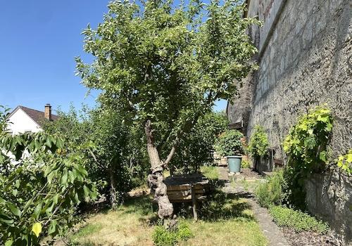 Garten