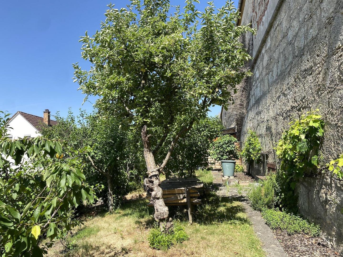 Garten