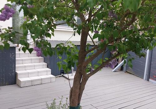 Terrasse II