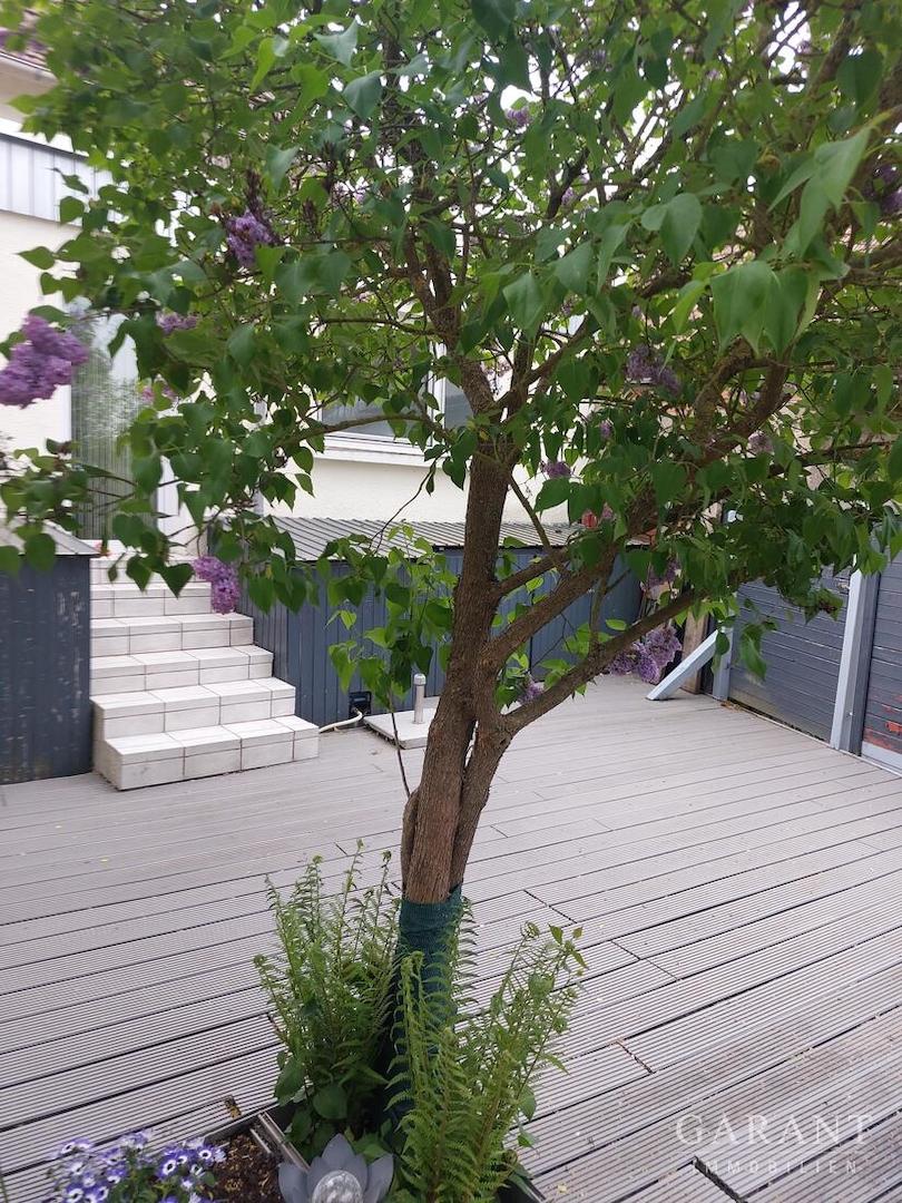 Terrasse II