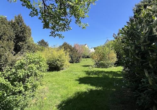 GRUNDSTÜCKSANSICHT