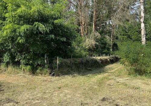 Blick vom Bunker Seite