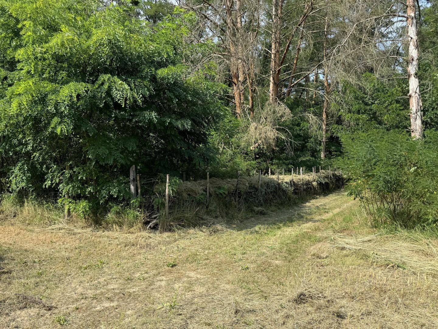 Blick vom Bunker Seite