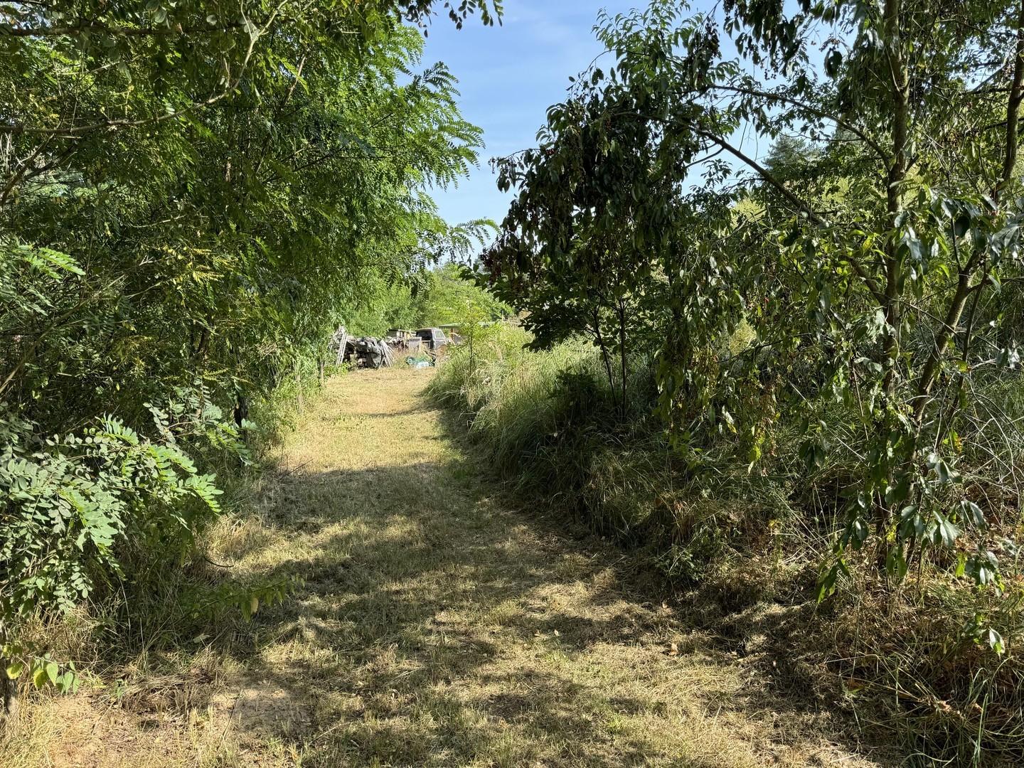 Blick Weg zum Nachbarhangar