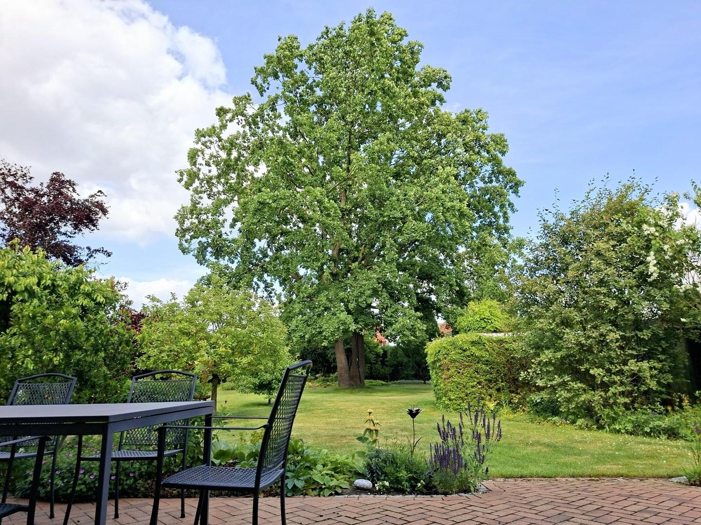 Blick von der Terrasse