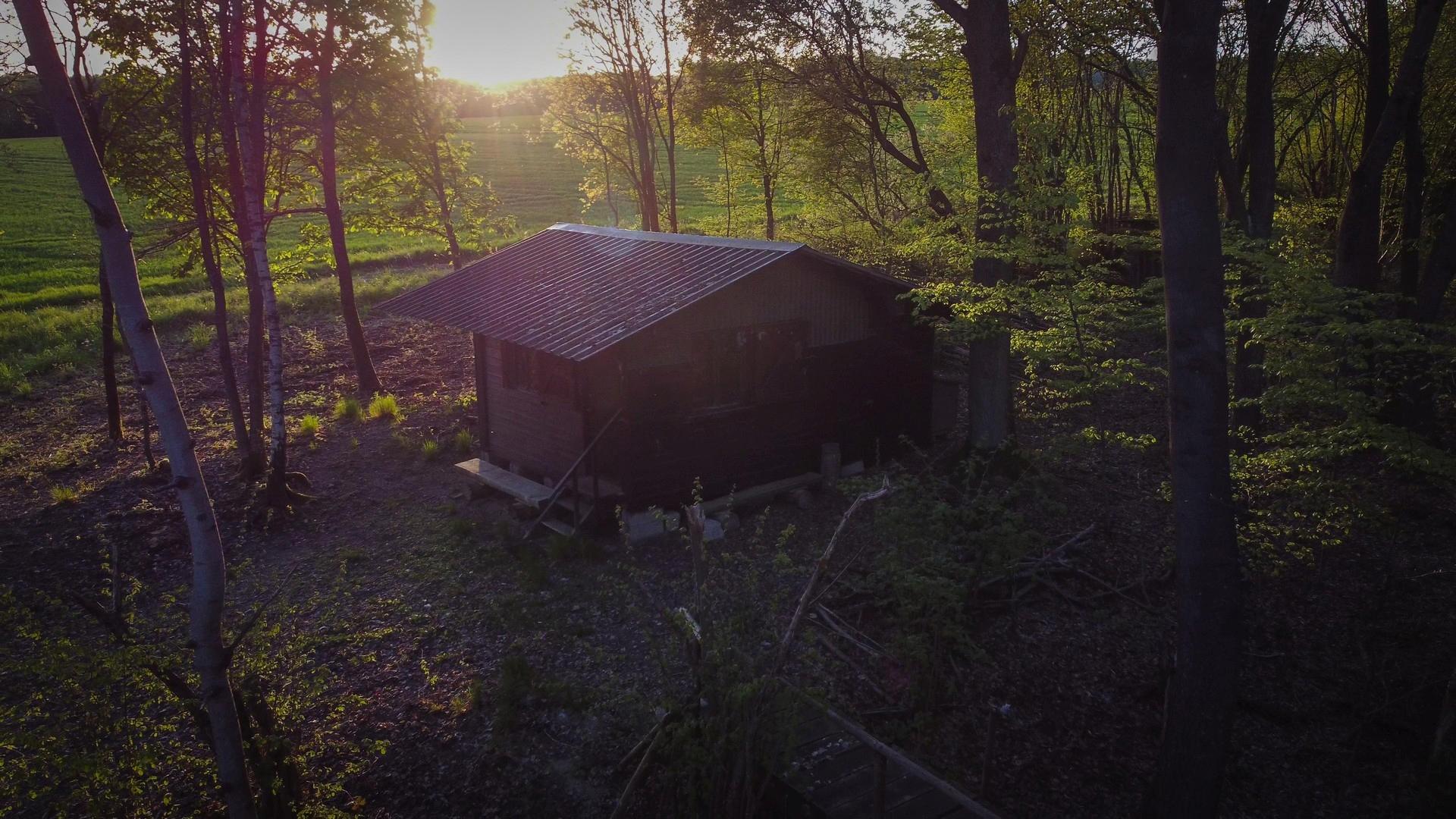 Waldhütte