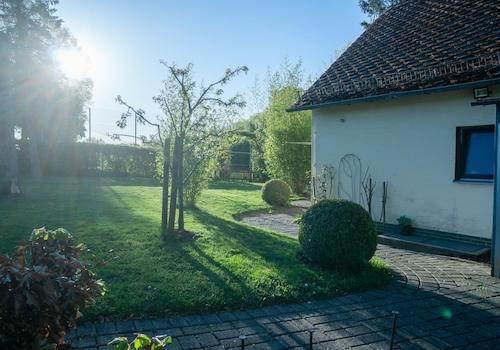 Morgensonne Blick Osten