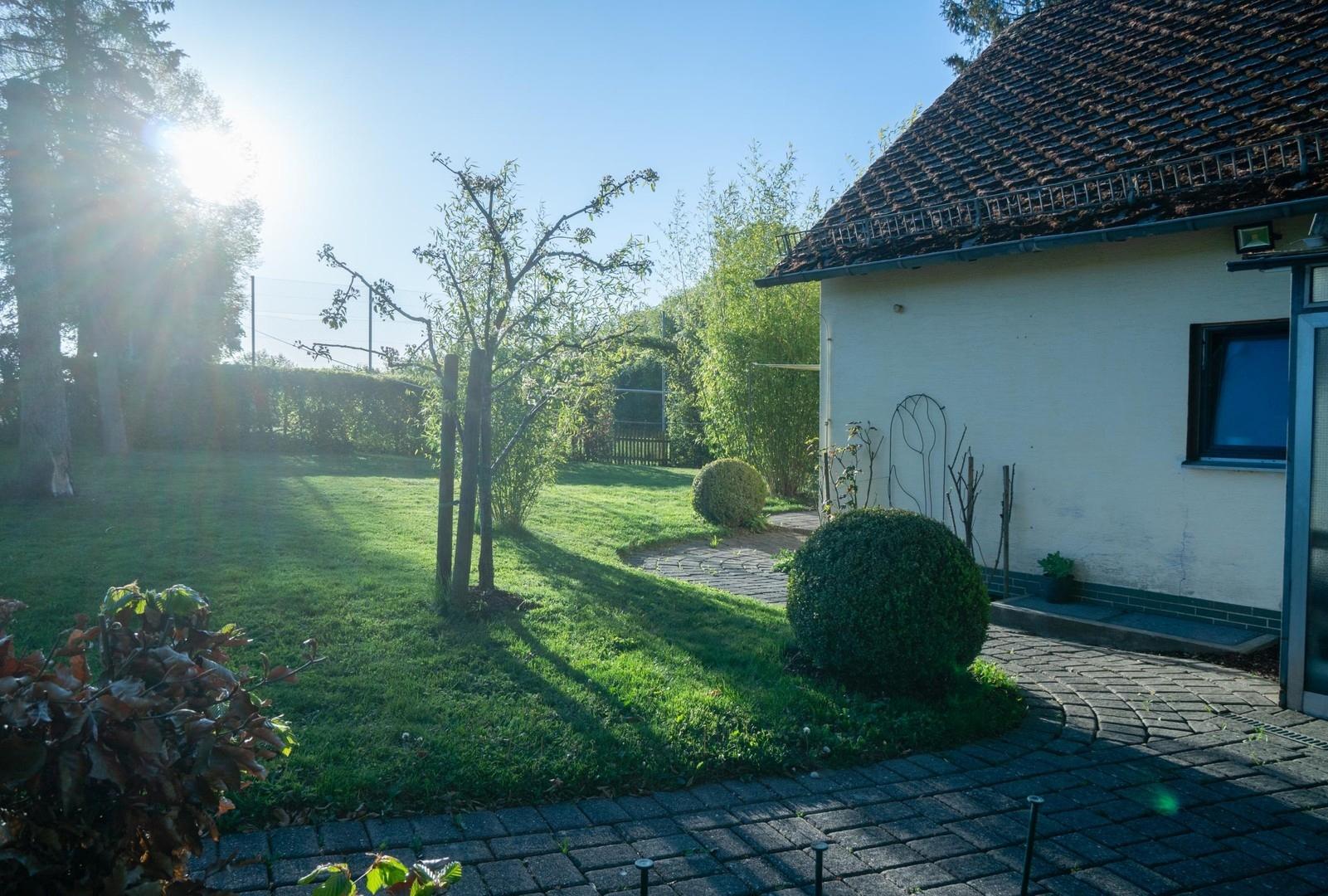Morgensonne Blick Osten