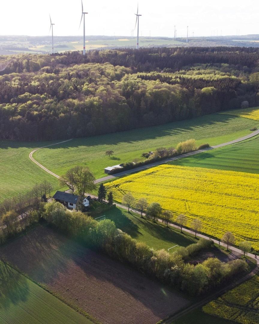 Haus und Wiese Luftbild