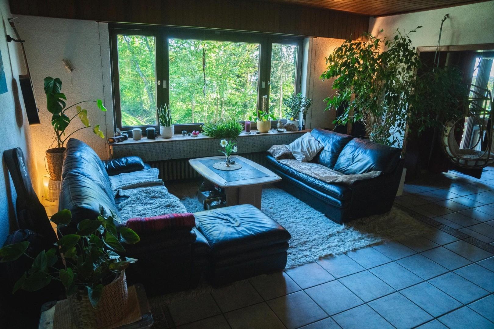 Wohnzimmer Blick Süden
