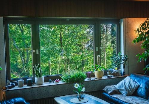 Wohnzimmer Blick ins Grüne