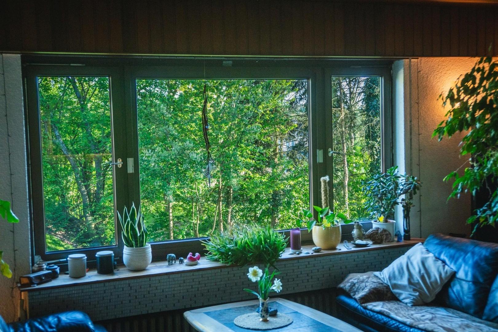 Wohnzimmer Blick ins Grüne
