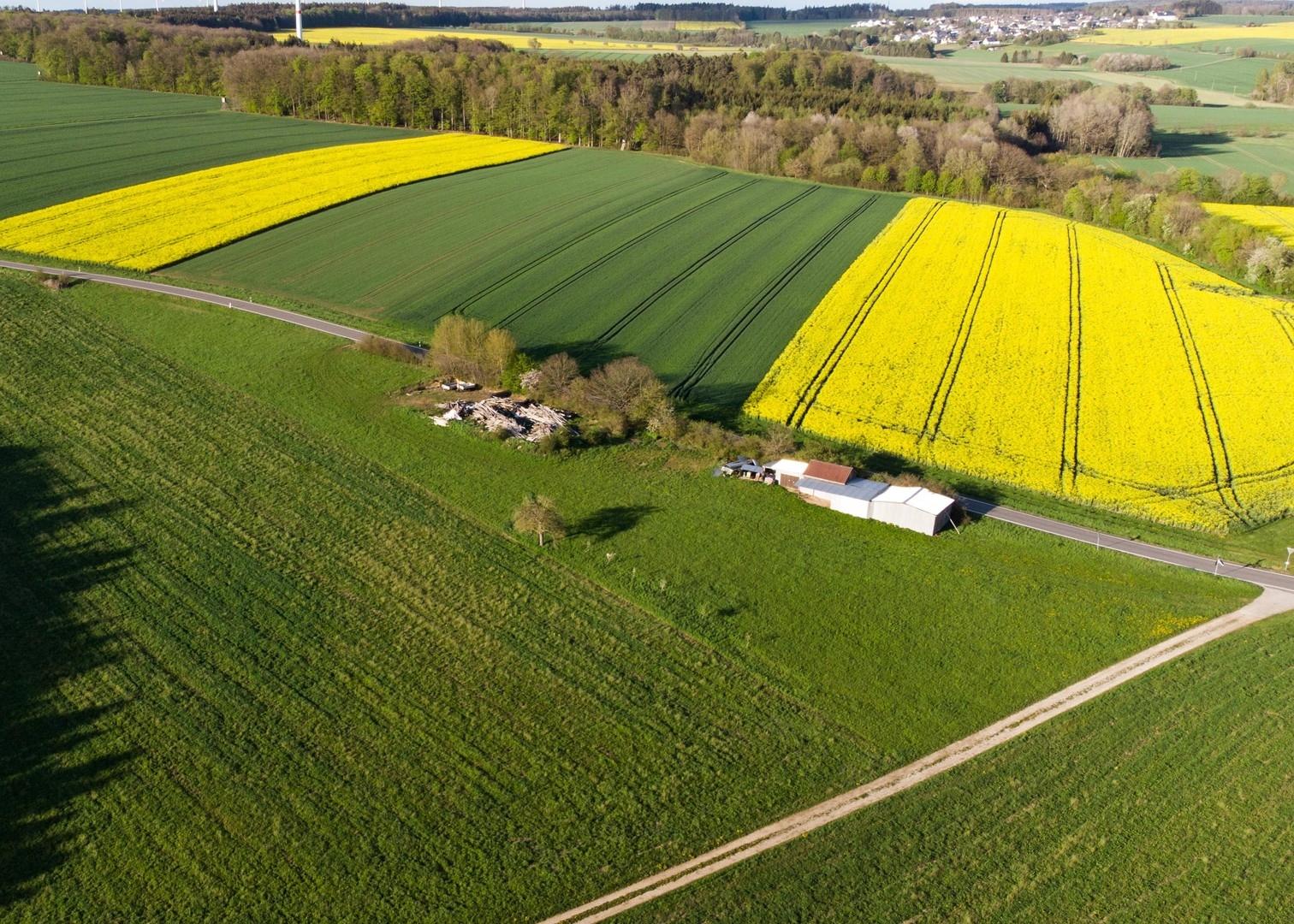 Luftbild Wiese