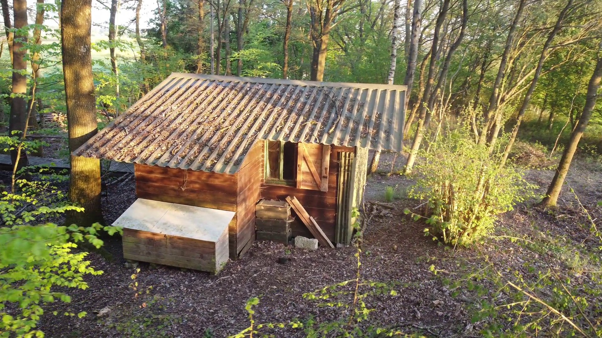 Hütte Rückseite