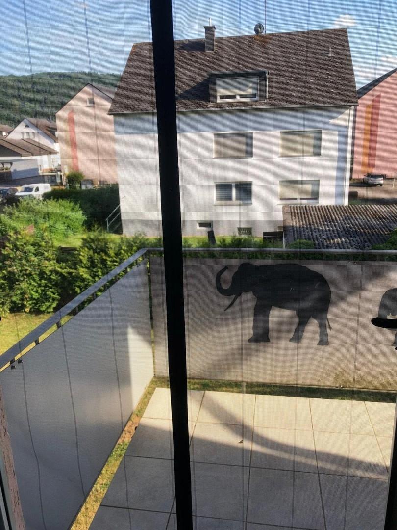 Balkon mit Blick in den Garten