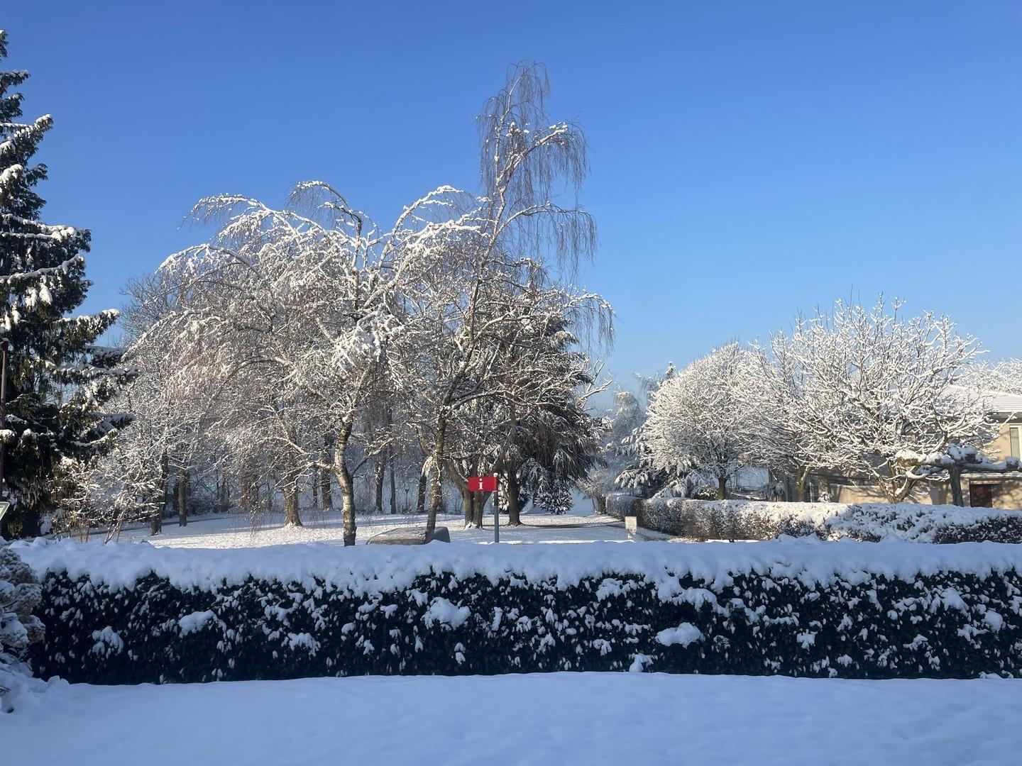 Blick Winter