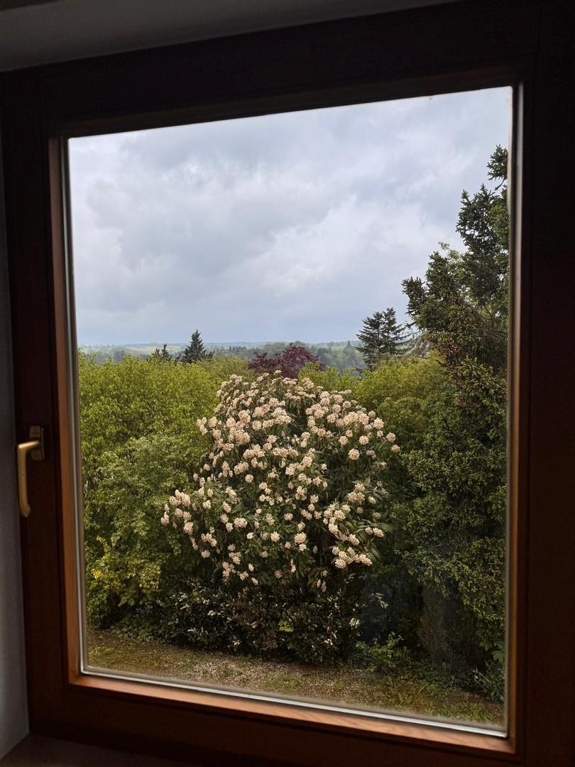 Fenster mit Aussicht DG