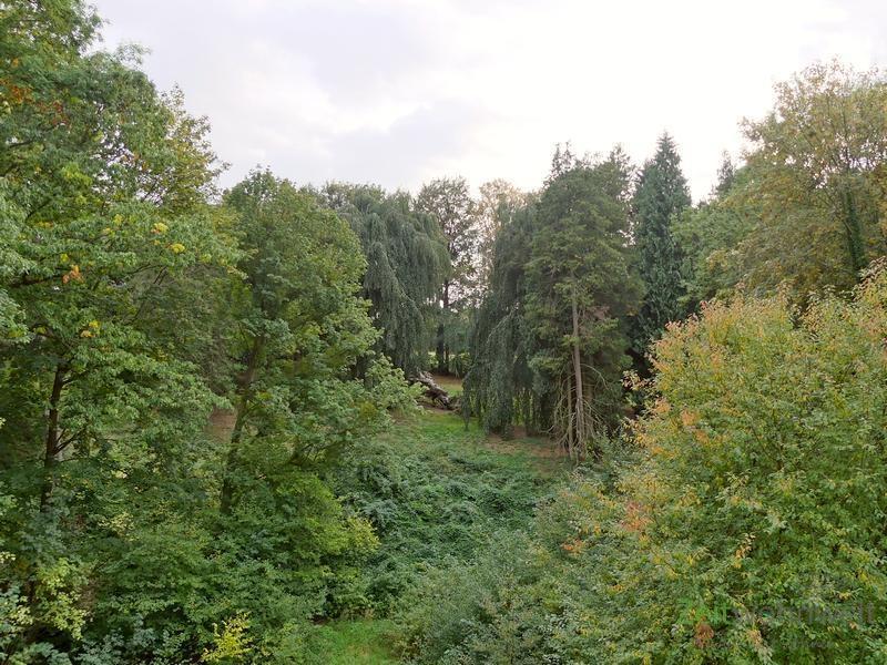 Blick aus dem Fenster in den Park