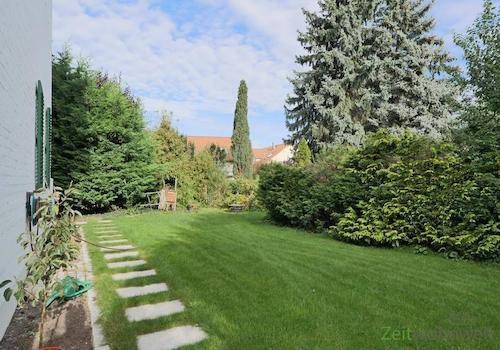 Blick in den Garten