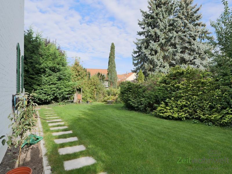 Blick in den Garten